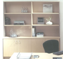 Wall Unit 1200Wx450Dx1950H with 2 Hinged Door